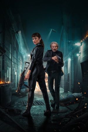 Paradox Effect's poster