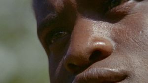Africa: Blood and Guts's poster