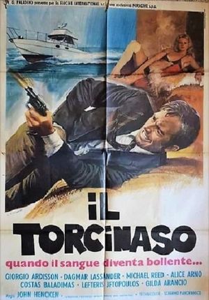 Il torcinaso's poster