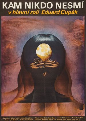 Kam nikdo nesmi's poster