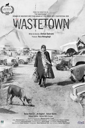 The Wastetown's poster