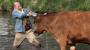 One Man and His Cow's poster