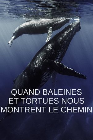 Quand baleines et tortues nous montrent le chemin's poster
