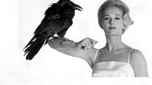 The Birds's poster