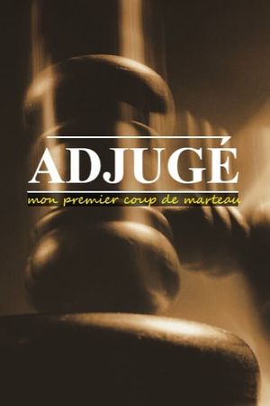 Adjugé, mon premier coup de marteau's poster