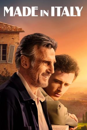 Made in Italy's poster