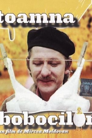 Toamna bobocilor's poster