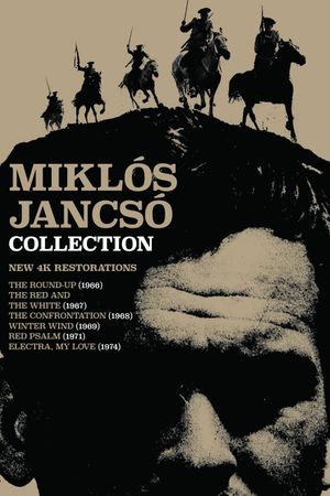 Autumn in Badacsony's poster
