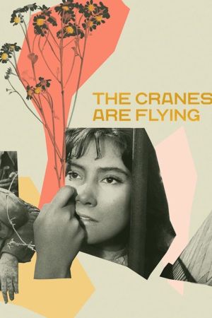 The Cranes Are Flying's poster