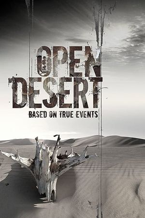 Open Desert's poster