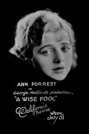 A Wise Fool's poster