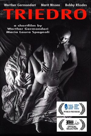Triedro's poster