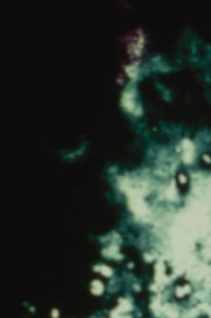 Loud Visual Noises's poster