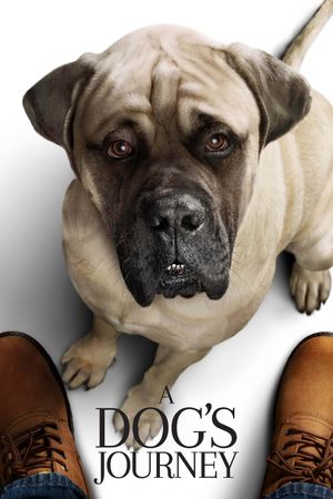 A Dog's Journey's poster