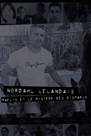 Dans la tête de Nordahl Lelandais's poster