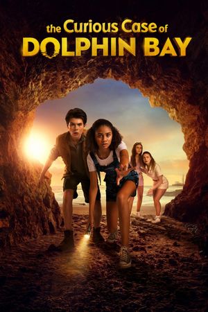 The Curious Case of Dolphin Bay's poster