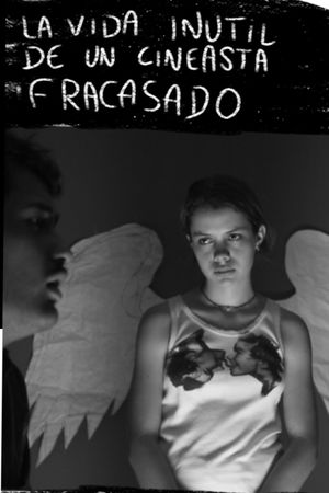 The useless life of a failed filmmaker's poster