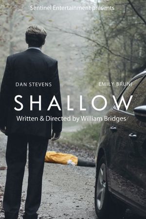 Shallow's poster