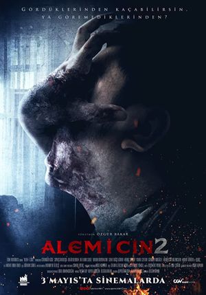 Alem-i Cin 2's poster