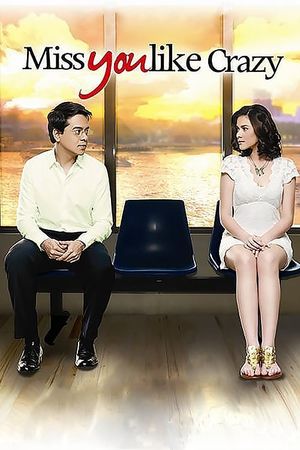 Miss You Like Crazy's poster