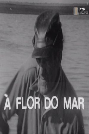 À Flor do Mar's poster