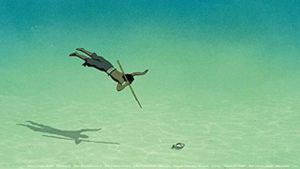 The Red Turtle's poster