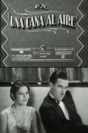 A gray in the air's poster