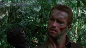 Predator's poster