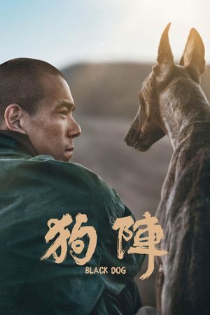 Black Dog's poster