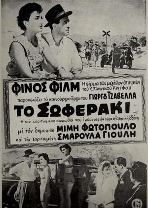 The Taxi Driver's poster