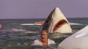 The Last Shark's poster