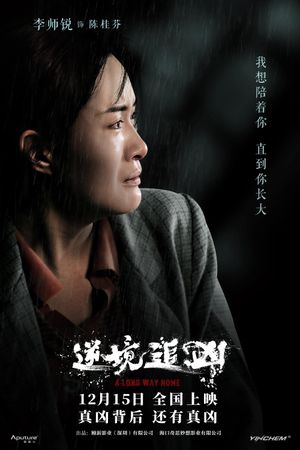 逆境追凶's poster