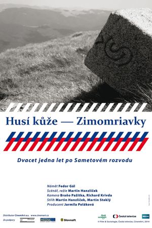 Husí kůže – Zimomriavky's poster image