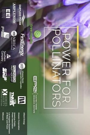 Power for Pollinators's poster image
