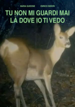 TU NON GUARDI MAI LÀ DOVE IO TI VEDO's poster