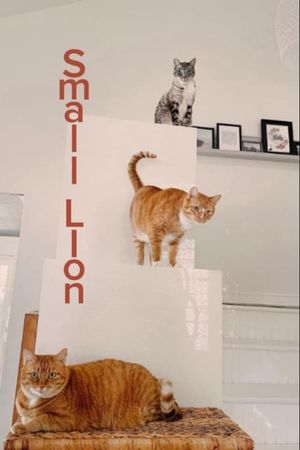 Small Lion's poster