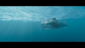 Something in the Water's poster