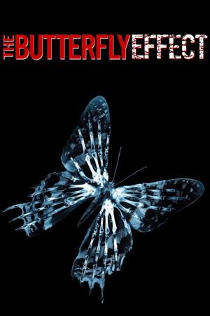 The Butterfly Effect's poster