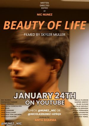 Beauty of Life's poster