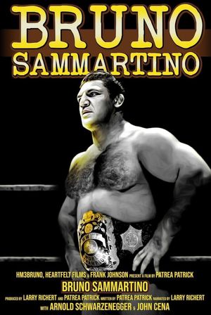 Bruno Sammartino's poster