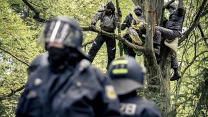 Barricade: Pictures of a Forest Occupation's poster