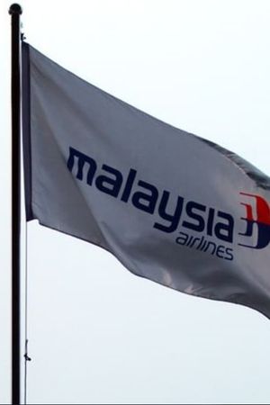 The Disappearance of Flight MH370's poster
