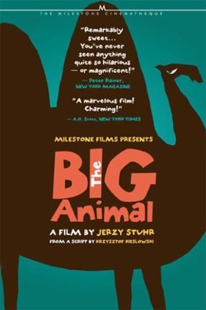 Big Animal's poster image
