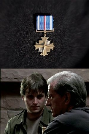 Distinguished Flying Cross's poster