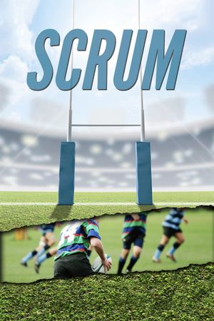 Scrum's poster