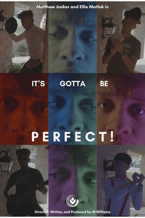 It's Gotta Be Perfect!'s poster