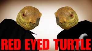 Red Eyed Turtle's poster