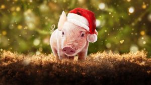 Christmas on Mistletoe Farm's poster