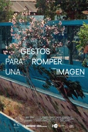 Gestures to Break an Image's poster image