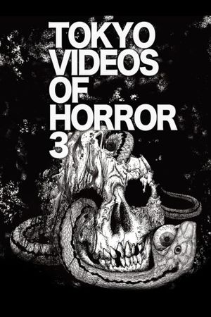 Tokyo Videos of Horror 3's poster image